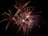 IMG_3519.jpg