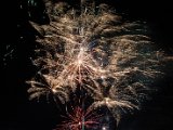 IMG_3524.jpg
