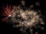 IMG_3525.jpg