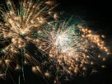 IMG_3528.jpg