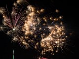 IMG_3529.jpg