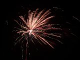 IMG_3542.jpg