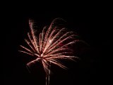 IMG_3546.jpg