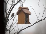 IMG_3649.CR2