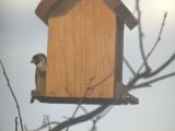 IMG_3755.CR2
