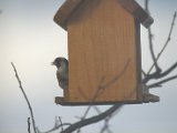 IMG_3865.CR2