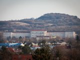 IMG_4385.jpg