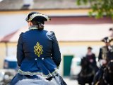 20180501_Betty_Pferde