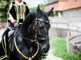 IMG_0006.jpg