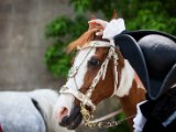 IMG_0024.jpg