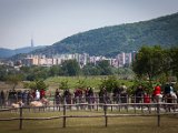 IMG_0065.jpg