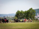 IMG_0086.jpg