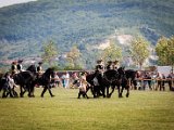 IMG_0098.jpg