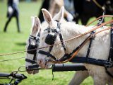 IMG_0196.jpg
