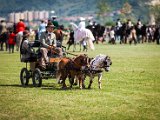 IMG_0223.jpg