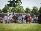 IMG_0238.jpg