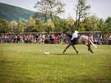 IMG_0389.jpg