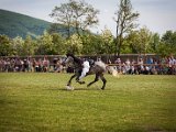 IMG_0390.jpg