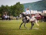 IMG_0402.jpg