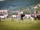 IMG_0404.jpg