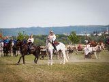 IMG_0407.jpg
