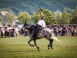IMG_0421.jpg