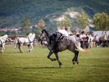 IMG_0422.jpg
