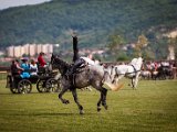 IMG_0423.jpg