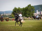 IMG_0427.jpg