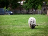 IMG_0445.jpg