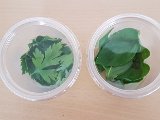 20180503_162211.JPG