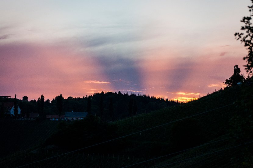 IMG_1330