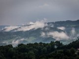 20180504_Vincent