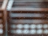 IMG_0475.jpg
