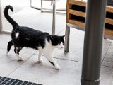 IMG_0519.jpg