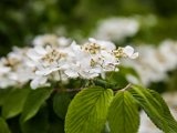 IMG_0763.jpg