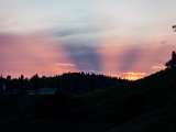 IMG_1330.jpg