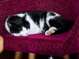 IMG_1562.jpg