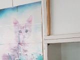 20180531_162106.JPG