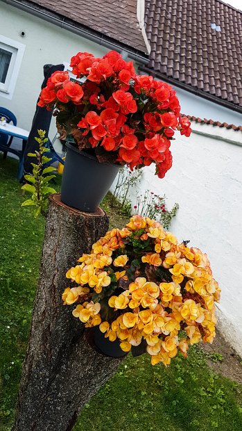20180609_193722