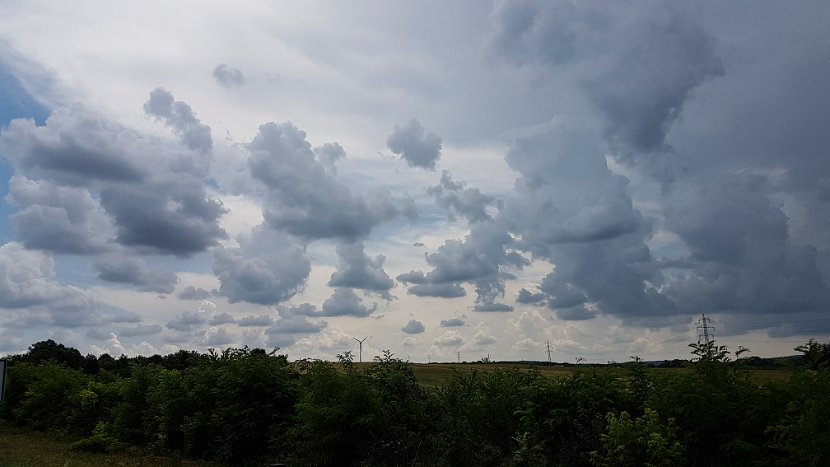 20180610_125005(0)