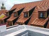 20180609_133936.JPG