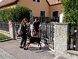 20180609_172550.JPG