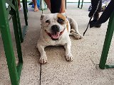 20180609_180258.JPG