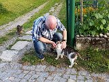 20180609_193225.JPG