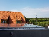 20180610_090136.JPG