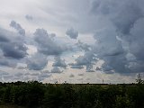 20180610_125005(0).JPG
