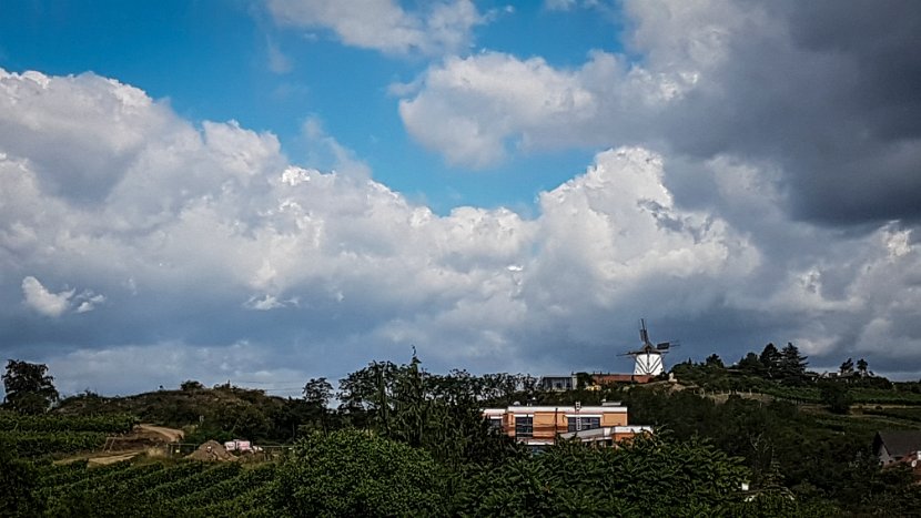 20180622_092225(0)