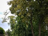 20180622_120047(1).JPG
