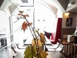 20180622_132259(0).JPG